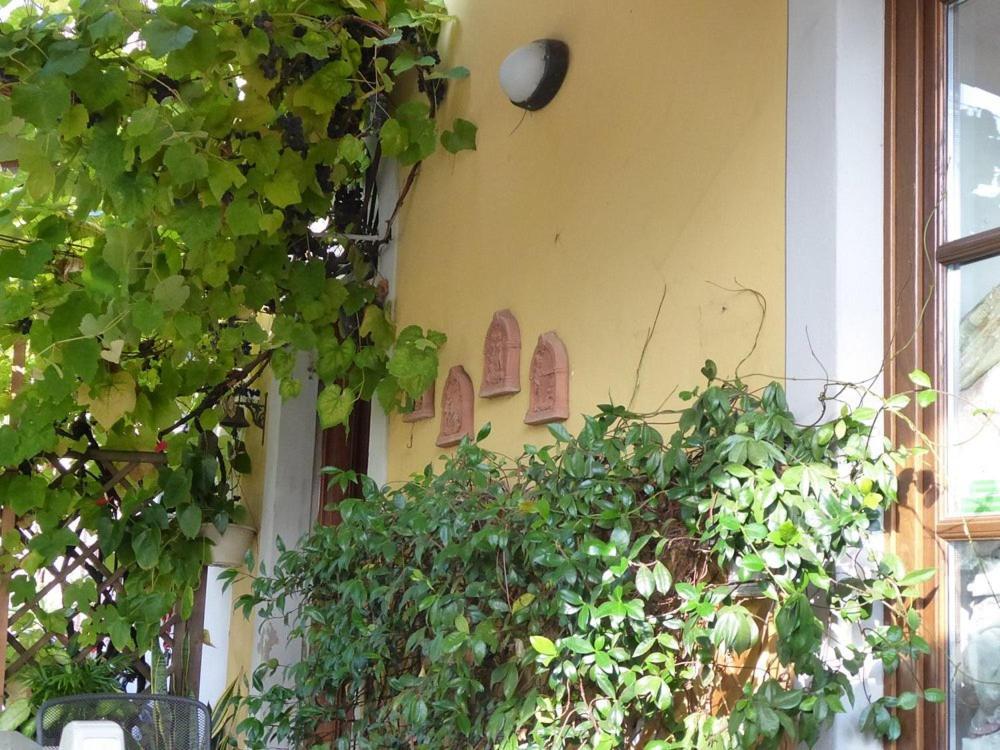 لوكا B&B Il Casale Di Nanni المظهر الخارجي الصورة